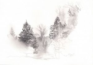 Графика, Карандаш - Зарисовка лесной поляны